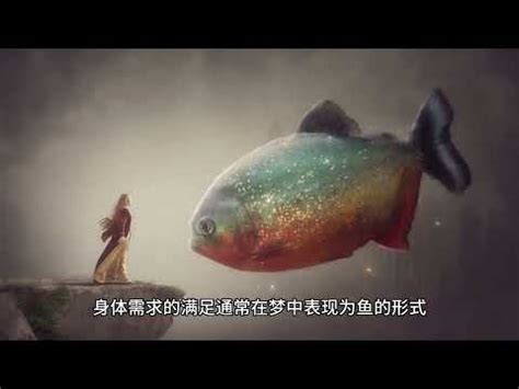 夢見魚缸很多魚